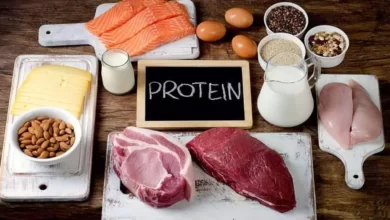 protein suitable for muscle building fitclub.webp.webp چه پروتئینی برای عضله سازی خوب است؟